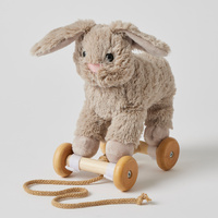 Pull Along Plush Bunny