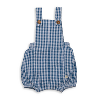 Tiny Twig - Blue Gingham Overall