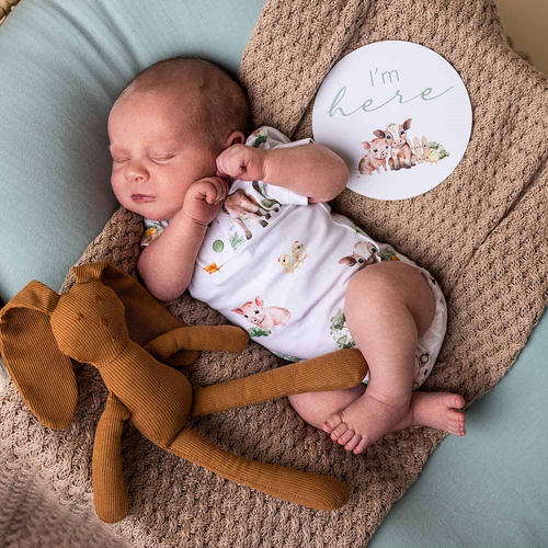 Snuggle Hunny - Farm Short Sleeve Organic Bodysuit [Size: 0000]